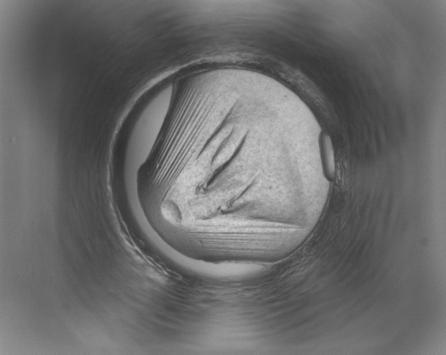 X0000068850724200606021734