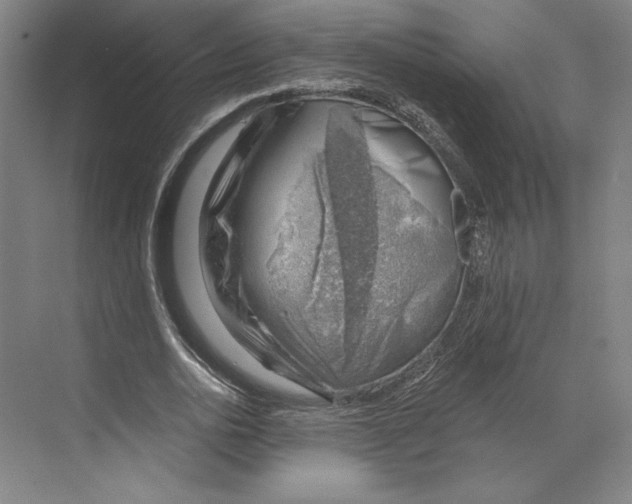 X0000068850726200606021734