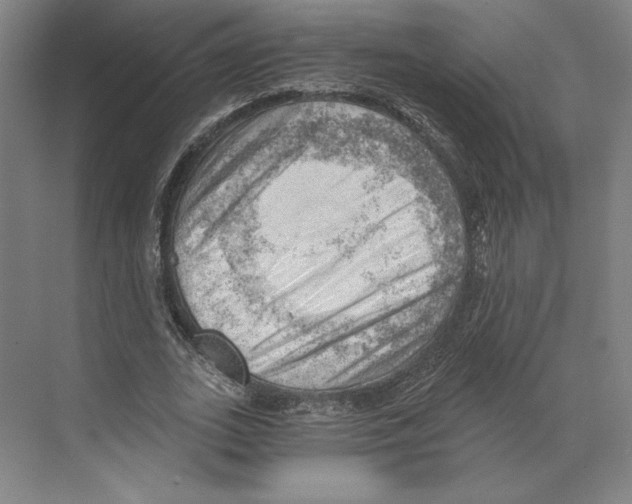 X0000068850727200606021734