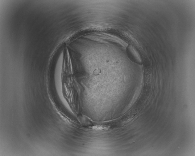 X0000068850736200606021734