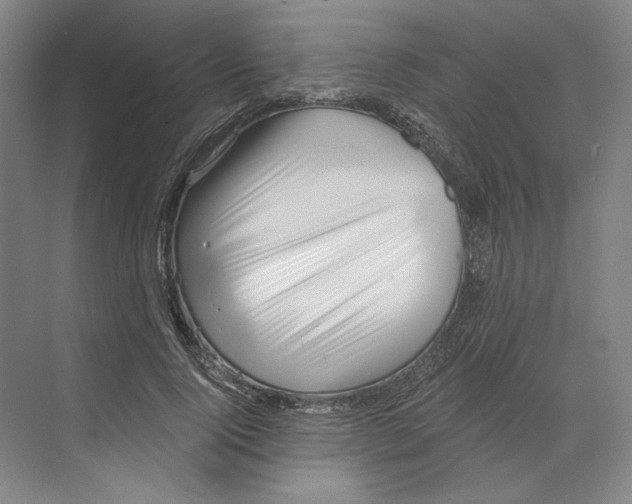 X0000068850740200606021734