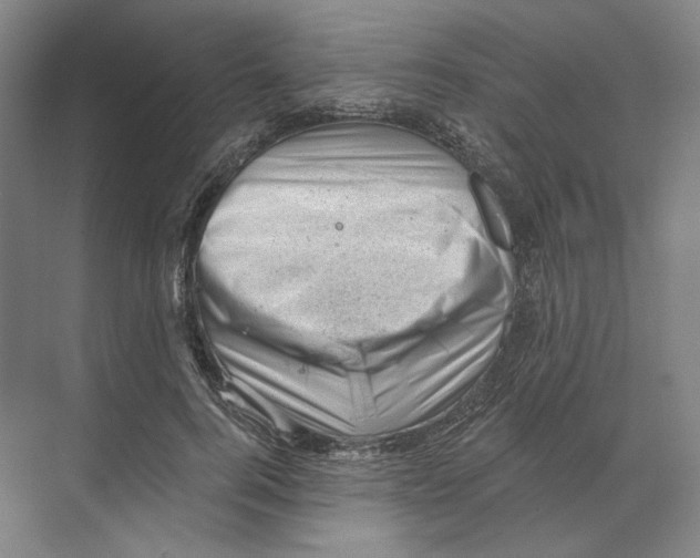 X0000068850744200606021734