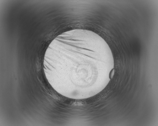 X0000068850751200606021734