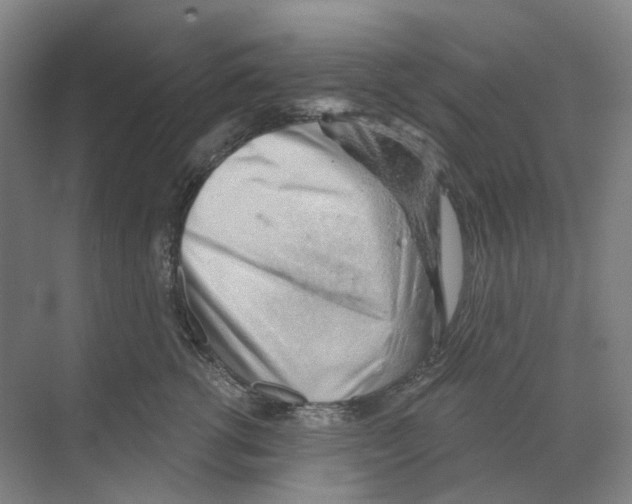 X0000068850762200606021734