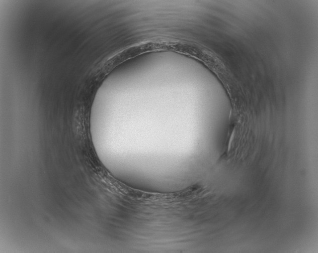 X0000068850773200606021734