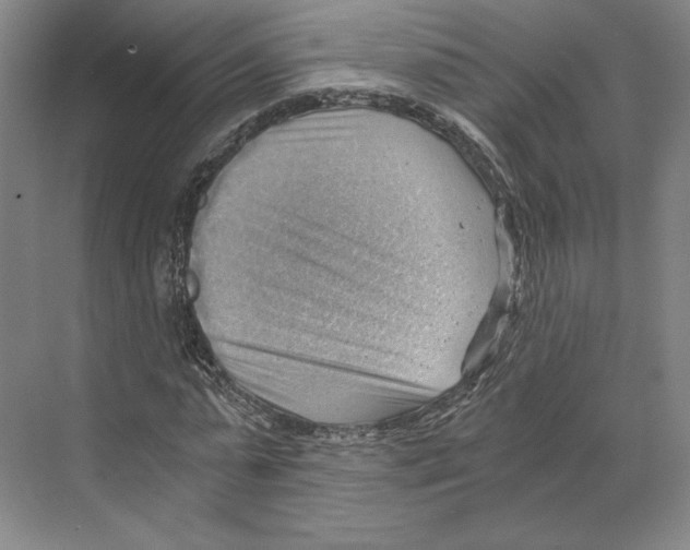X0000068850775200606021734