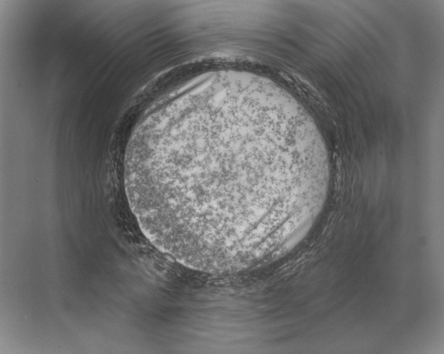 X0000068850776200606021734