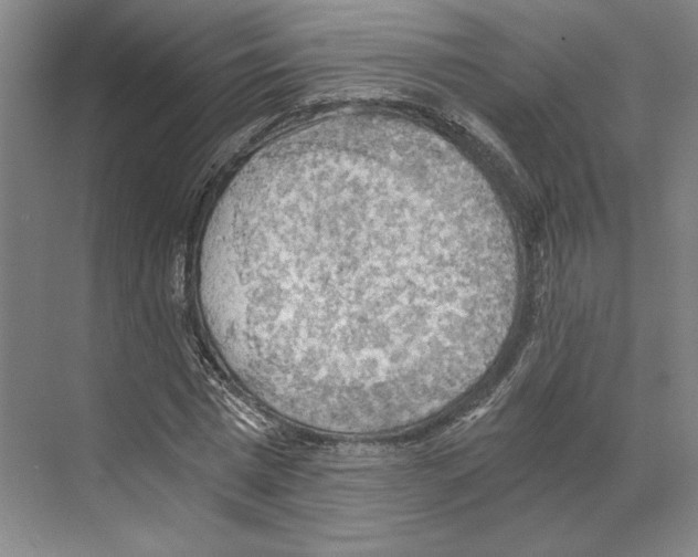 X0000068850777200606021734