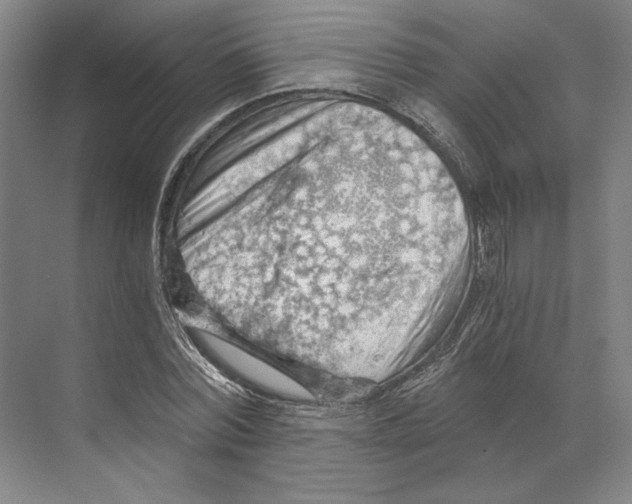X0000068850780200606021734