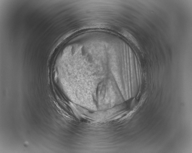 X0000068850781200606021734
