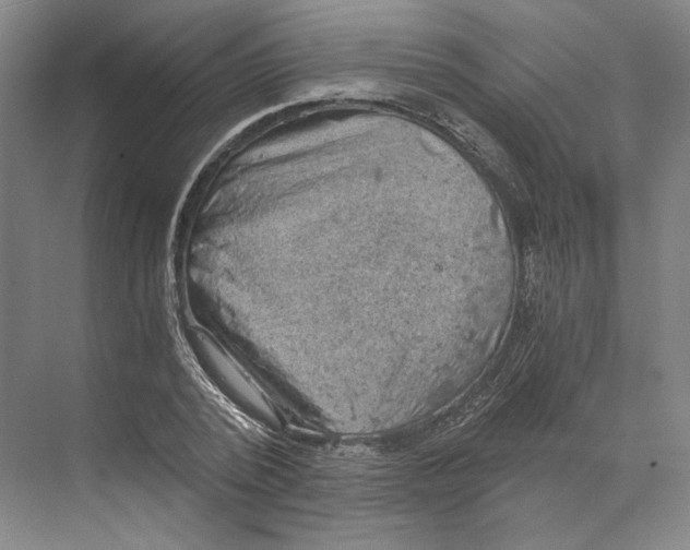 X0000068850784200606021734