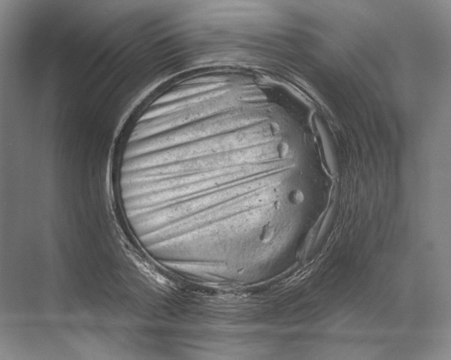 X0000068850788200606021733