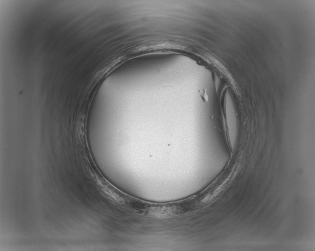 X0000068850793200606021733