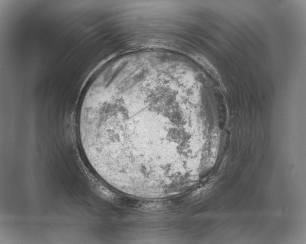 X0000068850798200606021733