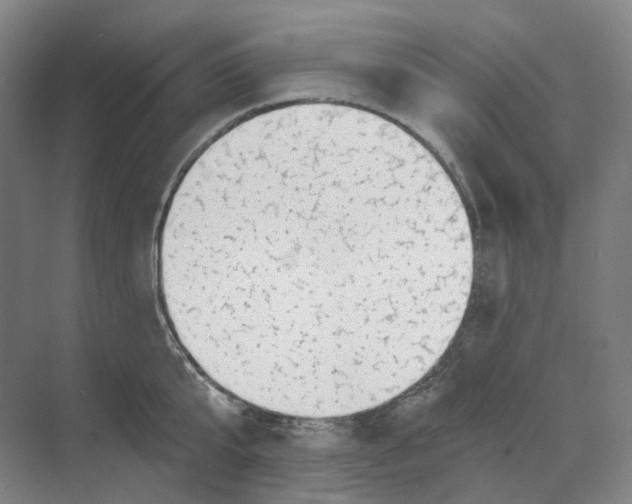 X0000068850807200606021733