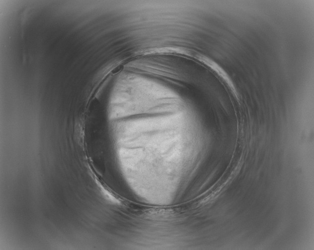 X0000068850809200606021733