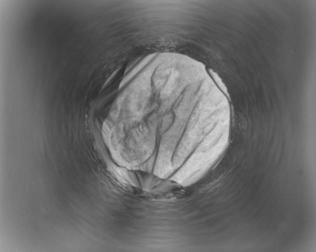 X0000068850818200606021732