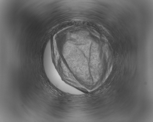 X0000068850821200606021732