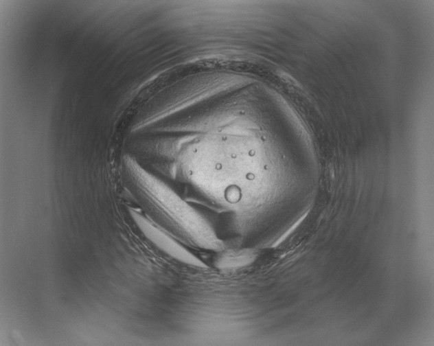 X0000068850822200606021732