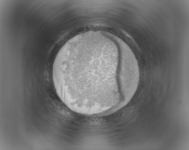 X0000068850823200606021732