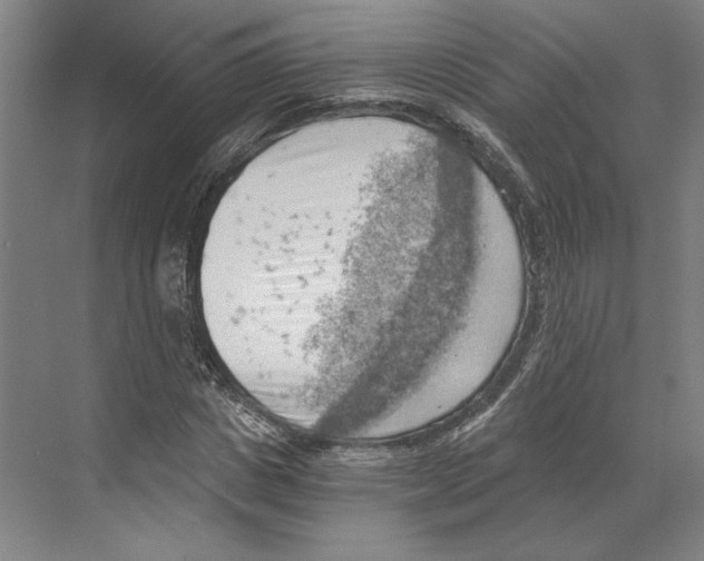 X0000068850825200606021732