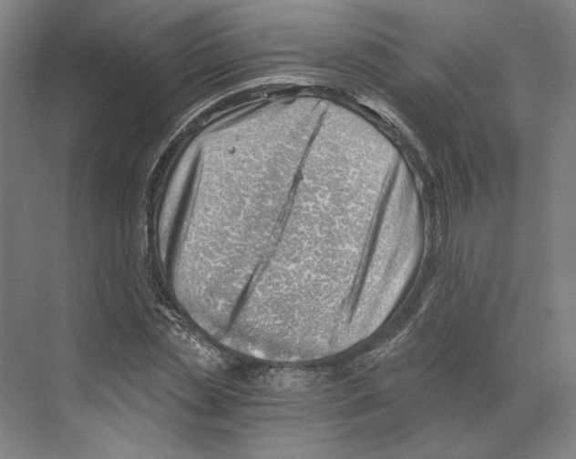 X0000068850829200606021732
