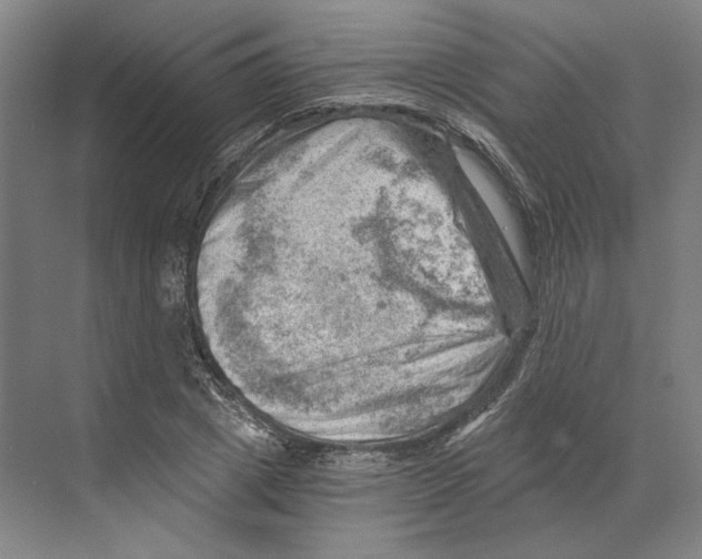 X0000068850833200606021732