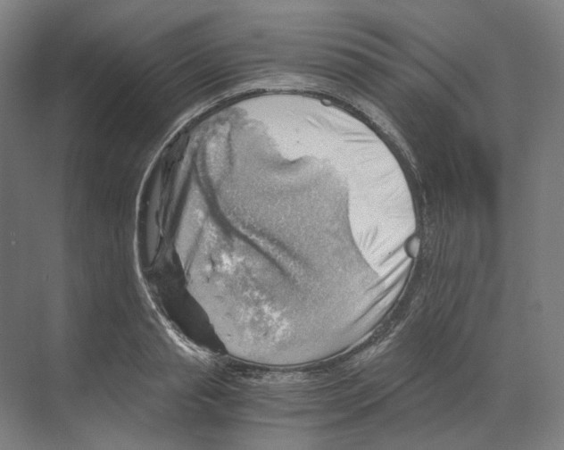 X0000068850845200606021733