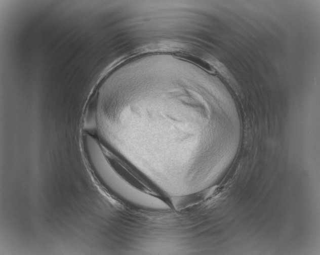 X0000068850850200606021733