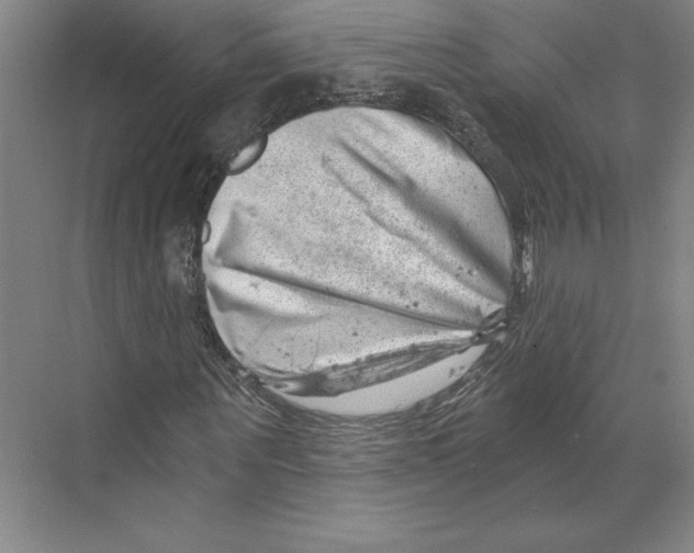 X0000068850867200606021732