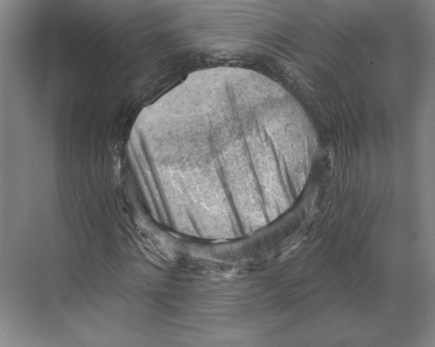 X0000068850868200606021732
