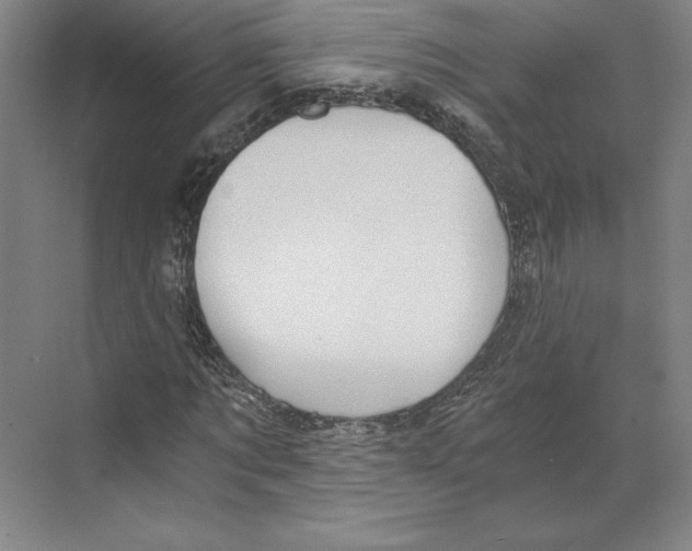 X0000068850869200606021732