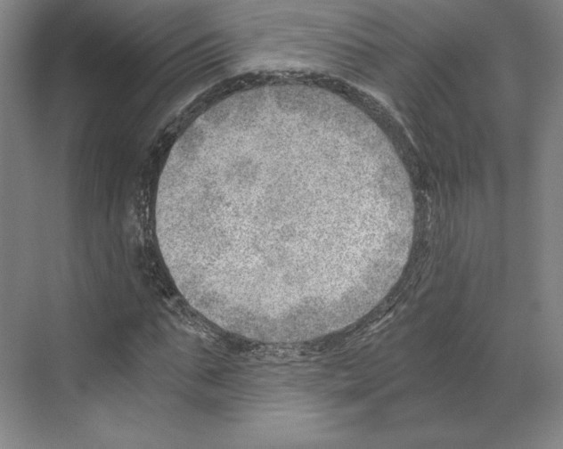 X0000068850871200606021732