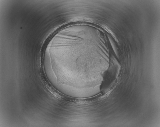 X0000068850877200606021732
