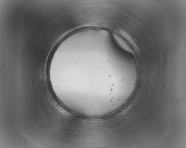 X0000068850884200606021732