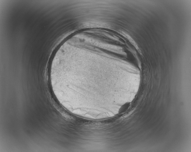X0000068850885200606021732
