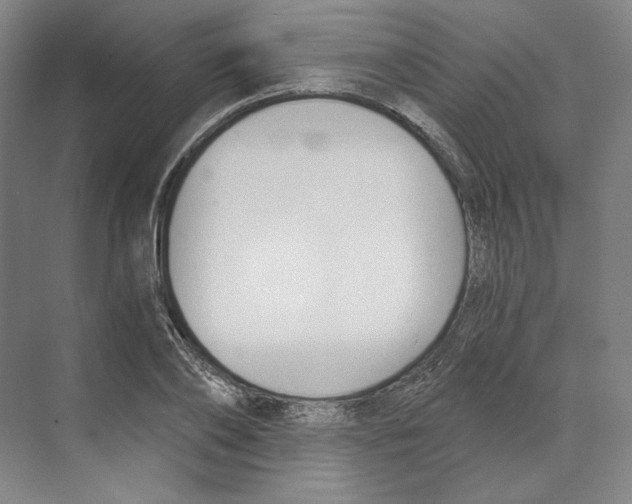 X0000068850886200606021732