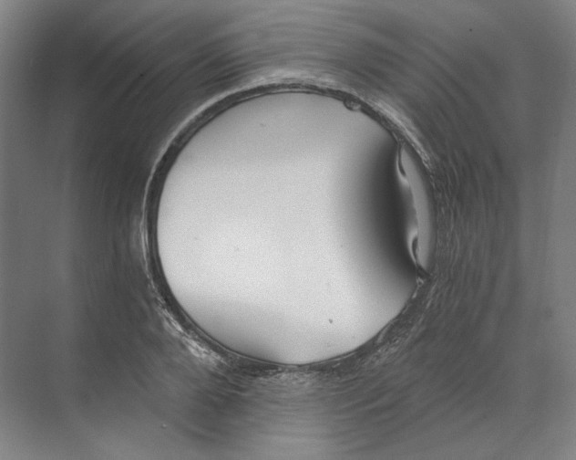 X0000068850888200606021732
