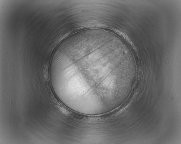 X0000068850889200606021732