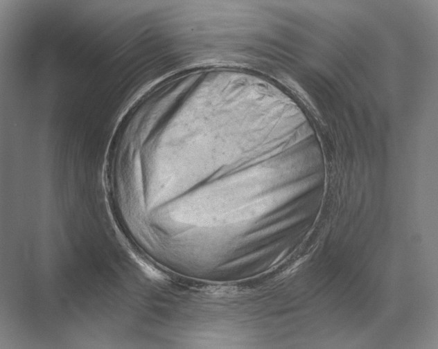 X0000068850893200606021732