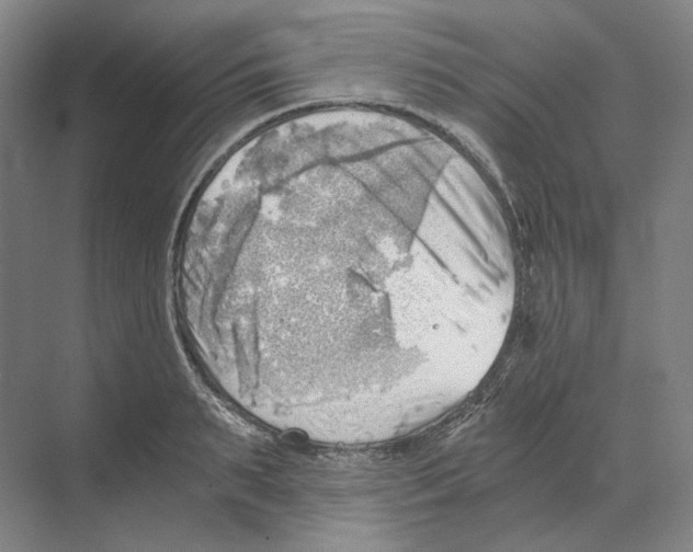 X0000068850895200606021732