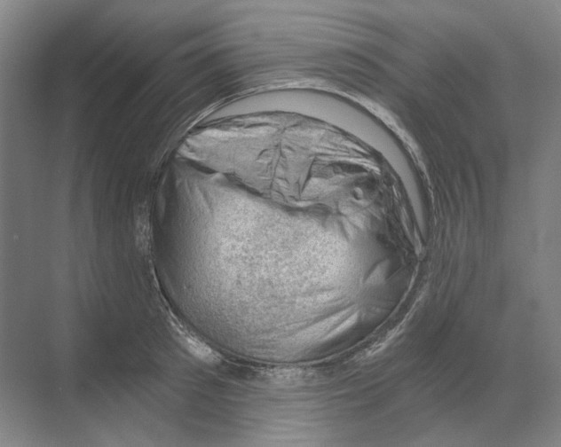 X0000068850897200606021732