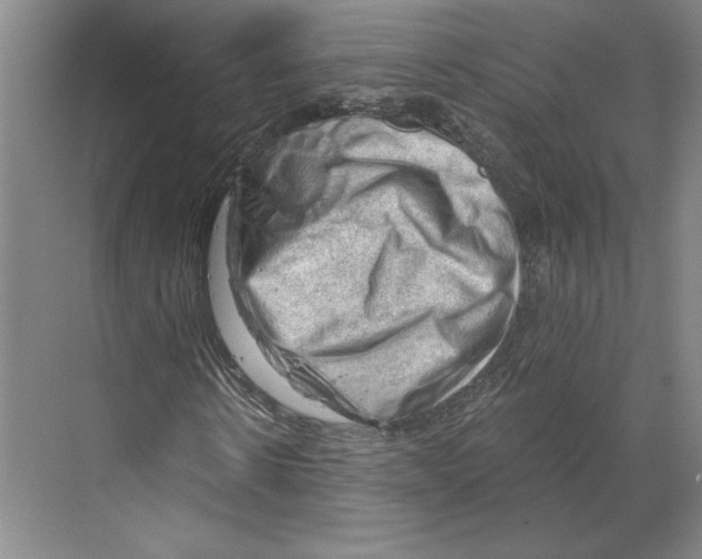 X0000068850914200606021731