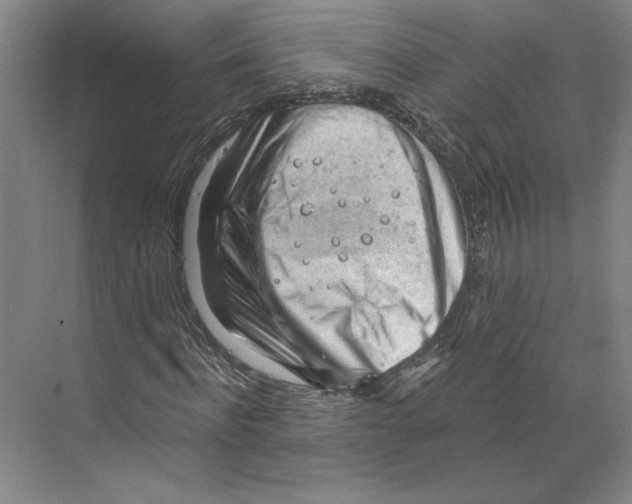 X0000068850916200606021731
