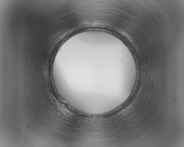 X0000068850922200606021731
