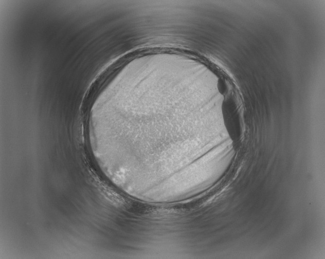 X0000068850925200606021731