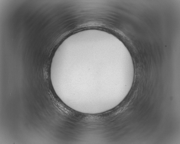 X0000068850929200606021731