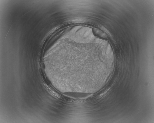 X0000068850930200606021731