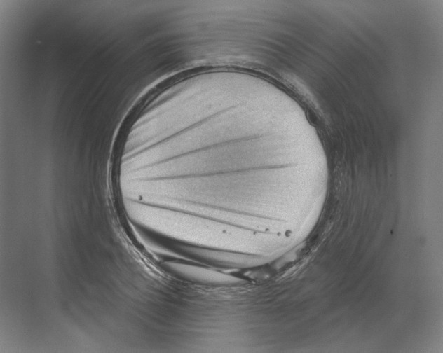 X0000068850932200606021731