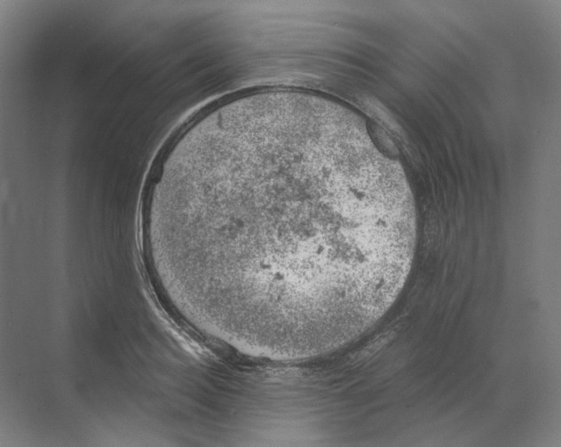 X0000068850940200606021731